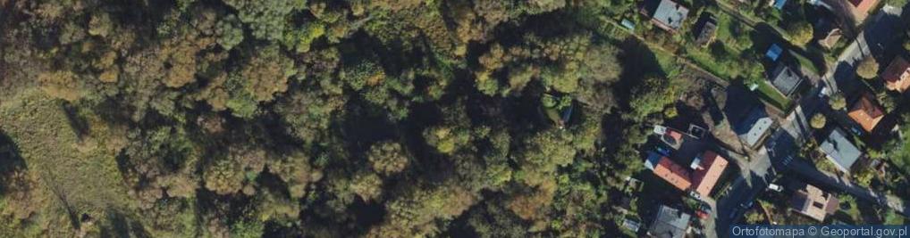 Zdjęcie satelitarne Jordana Henryka ul.