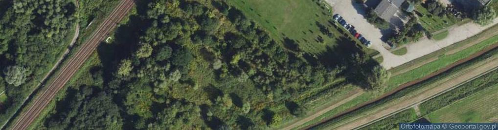 Zdjęcie satelitarne Junaków ul.