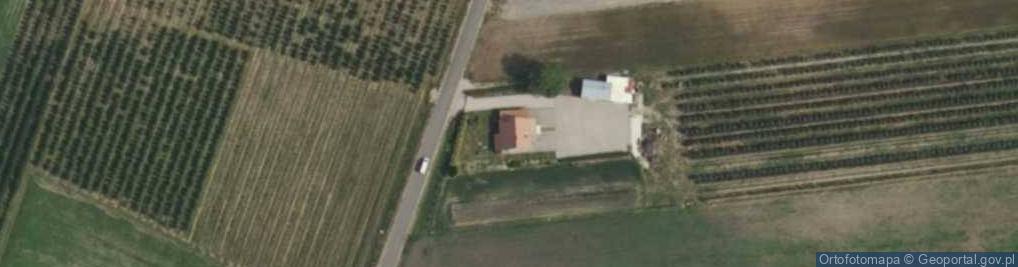 Zdjęcie satelitarne Justynówka ul.