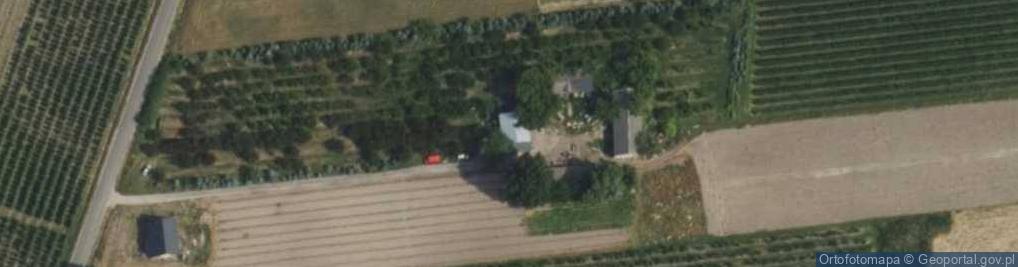 Zdjęcie satelitarne Justynówka ul.