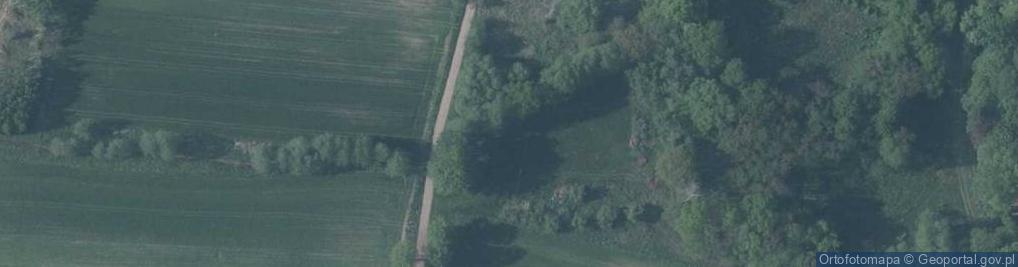 Zdjęcie satelitarne Kasztanowa ul.