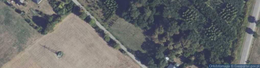 Zdjęcie satelitarne Kasztanowa ul.