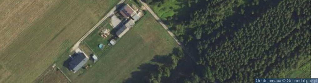 Zdjęcie satelitarne Kaktusowa ul.