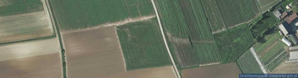 Zdjęcie satelitarne Kameralna ul.