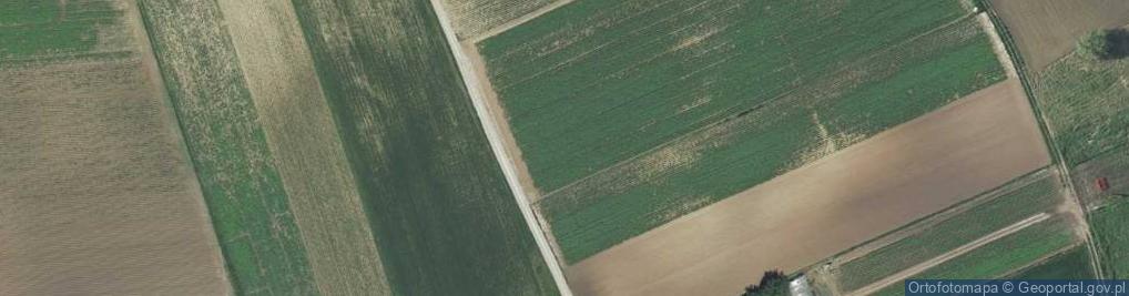 Zdjęcie satelitarne Kasztanowa ul.