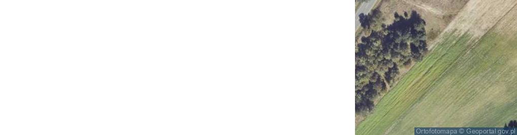 Zdjęcie satelitarne Kaliska ul.