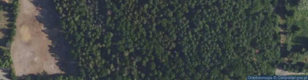 Zdjęcie satelitarne Kanadyjska ul.