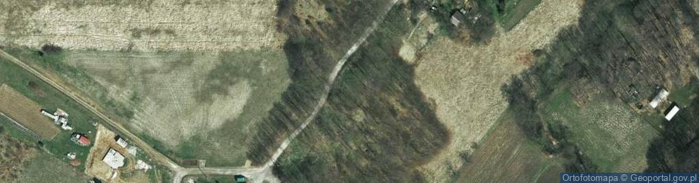 Zdjęcie satelitarne Kalwaryjska ul.