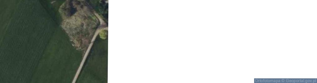Zdjęcie satelitarne Kaczkowizna ul.