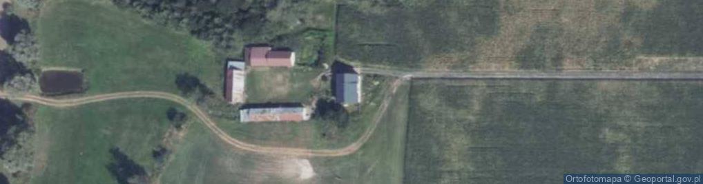 Zdjęcie satelitarne Kalisz ul.