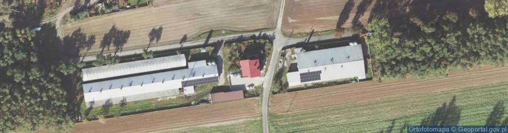 Zdjęcie satelitarne Kaliszkowice Kaliskie ul.