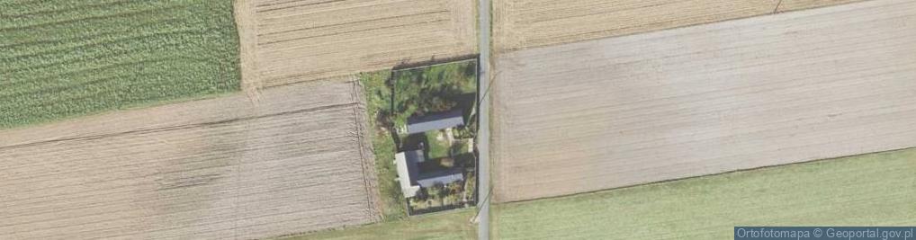 Zdjęcie satelitarne Kaliszkowice Kaliskie ul.