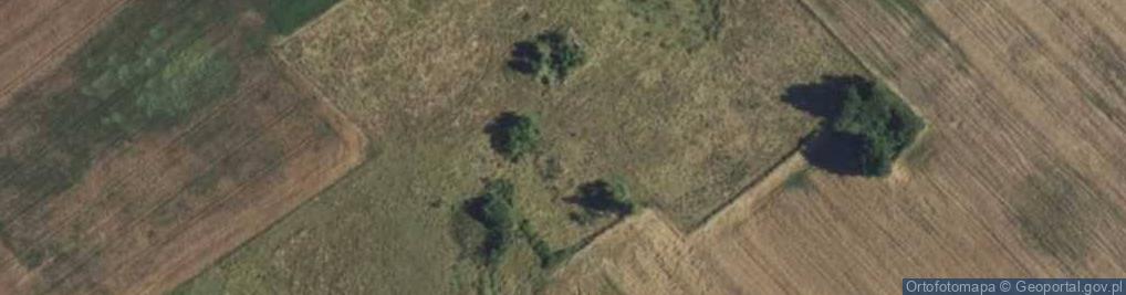 Zdjęcie satelitarne Kałwągi ul.