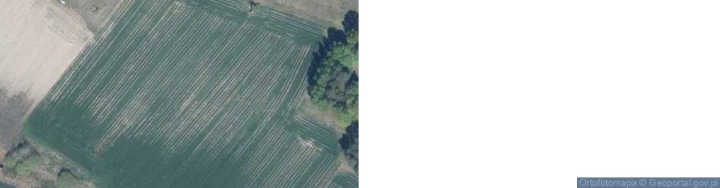 Zdjęcie satelitarne Kamieńczyk ul.