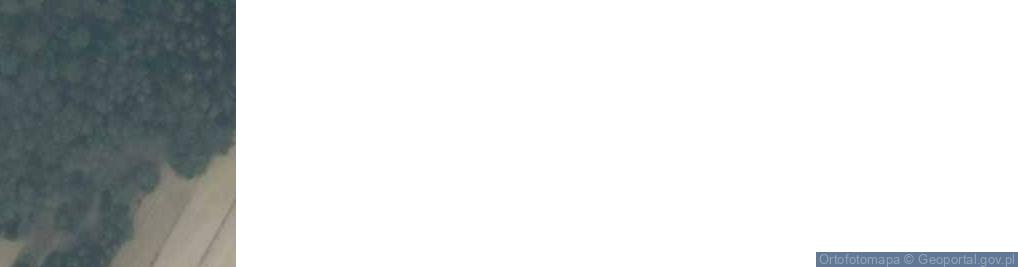 Zdjęcie satelitarne Kamińsk ul.