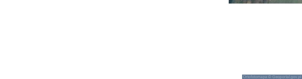 Zdjęcie satelitarne Karlusin ul.