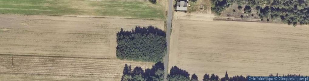 Zdjęcie satelitarne Kazimierów ul.