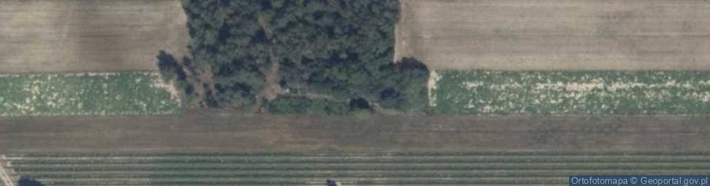 Zdjęcie satelitarne Kazimierzów ul.