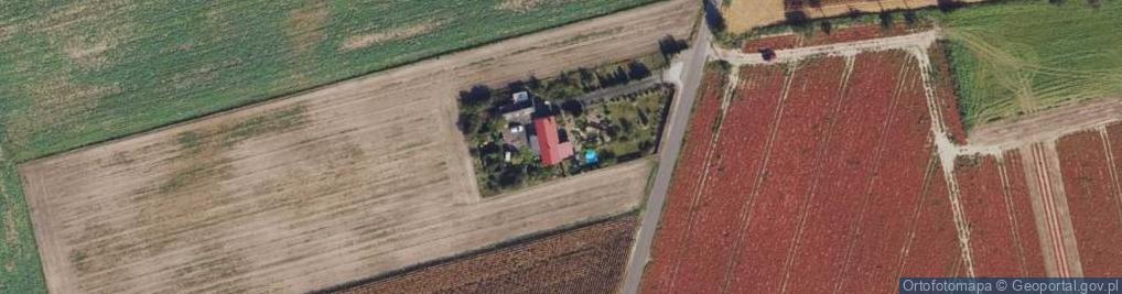 Zdjęcie satelitarne Kaźmierzewo ul.