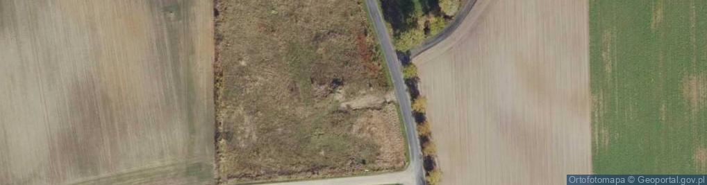 Zdjęcie satelitarne Kaźmierzewo ul.