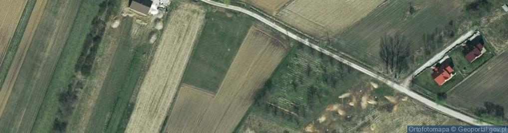 Zdjęcie satelitarne Kasztanowa ul.