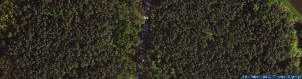 Zdjęcie satelitarne Katarzynów ul.