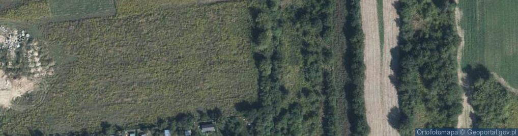 Zdjęcie satelitarne Kameliowa ul.