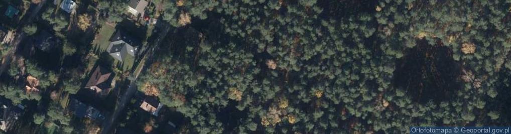 Zdjęcie satelitarne Kaczeńców ul.