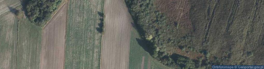 Zdjęcie satelitarne Kalinowa ul.