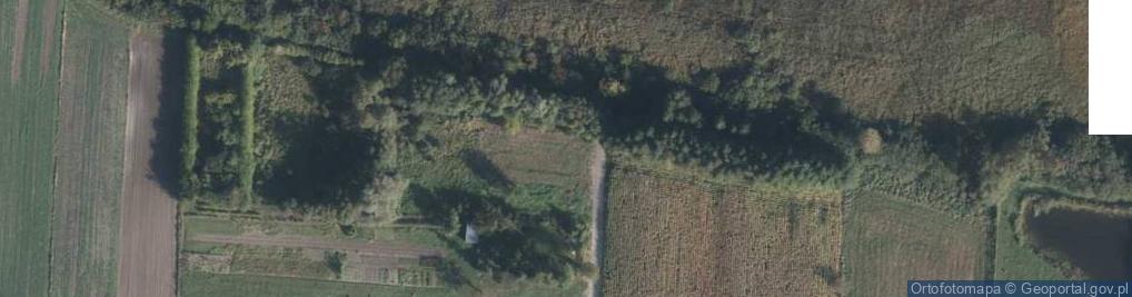 Zdjęcie satelitarne Kalinowa ul.