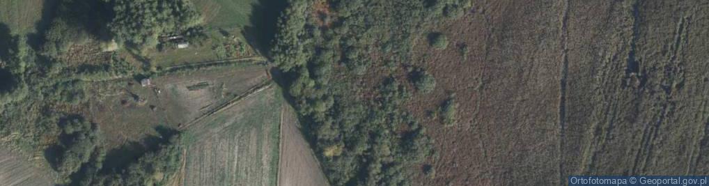 Zdjęcie satelitarne Kalinowa ul.