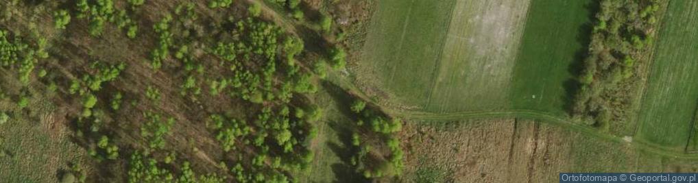 Zdjęcie satelitarne Kacza ul.