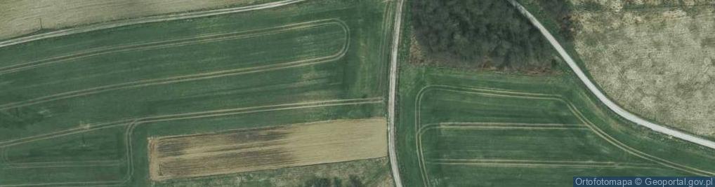 Zdjęcie satelitarne Kamienna ul.