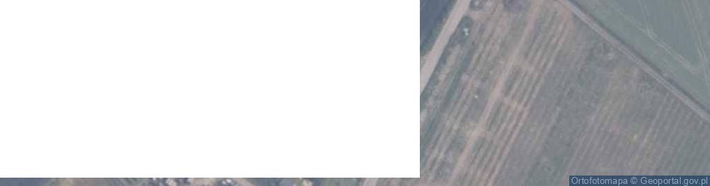 Zdjęcie satelitarne Kasztanowa ul.