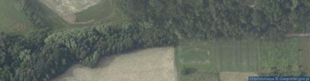 Zdjęcie satelitarne Kasztanowa ul.