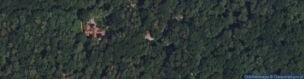 Zdjęcie satelitarne Kaczeńców ul.