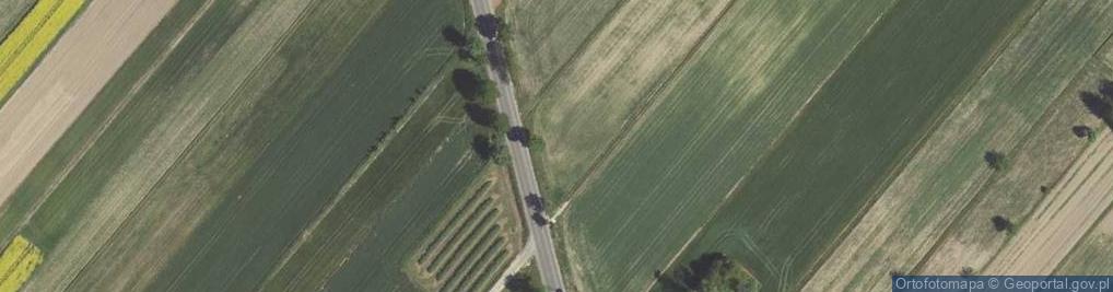 Zdjęcie satelitarne Kępa Borzechowska ul.