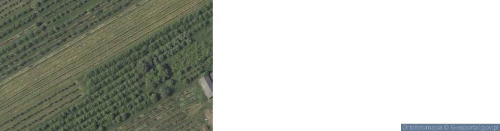 Zdjęcie satelitarne Kępa Gostecka ul.