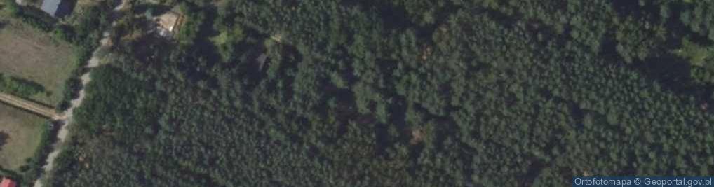 Zdjęcie satelitarne Kępiaste ul.