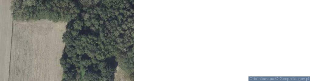 Zdjęcie satelitarne Kicin ul.