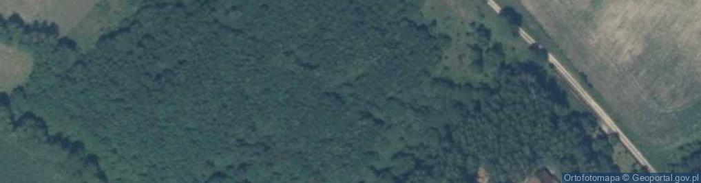 Zdjęcie satelitarne Kierzliny ul.