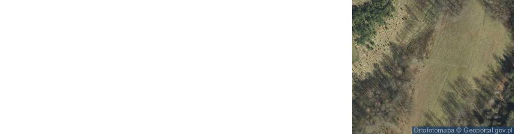 Zdjęcie satelitarne Kipszna ul.