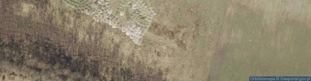 Zdjęcie satelitarne Kiełpin-Pelikana ul.