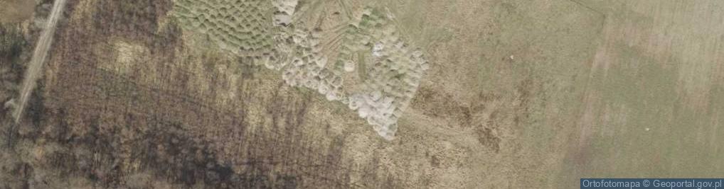 Zdjęcie satelitarne Kiełpin-Żyrafy ul.