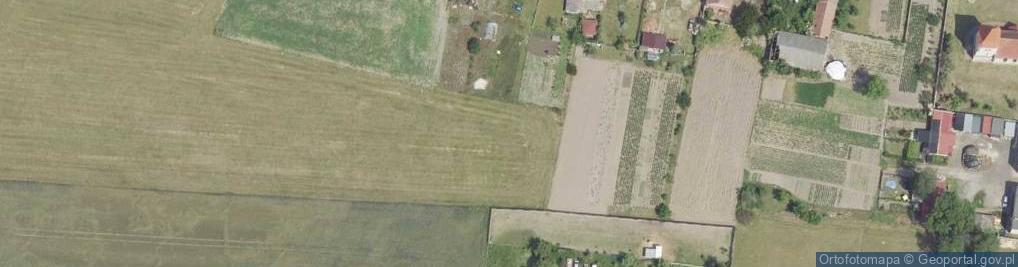 Zdjęcie satelitarne Klonowa ul.