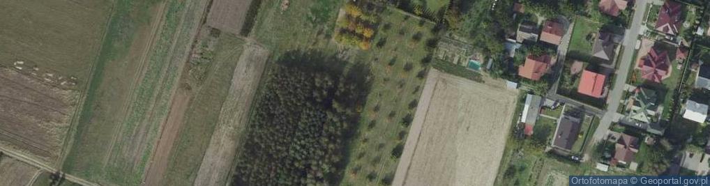 Zdjęcie satelitarne Klonowa ul.