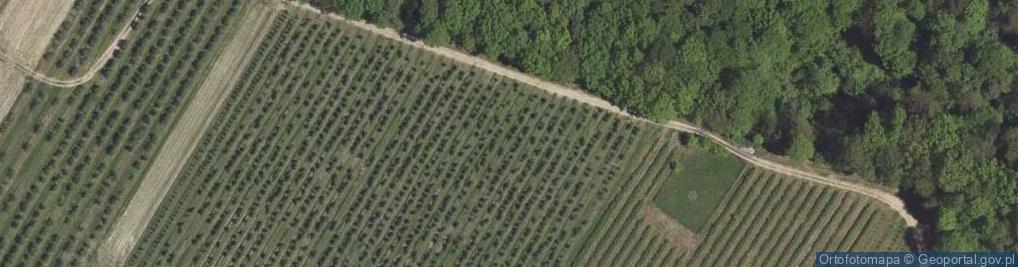 Zdjęcie satelitarne Kluczkowice-Osiedle ul.