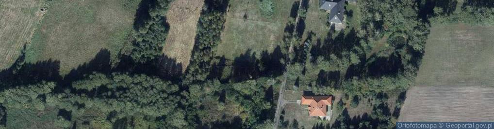 Zdjęcie satelitarne Klin Dworski ul.