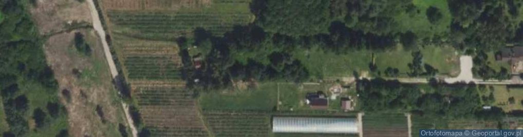 Zdjęcie satelitarne Klonowa ul.