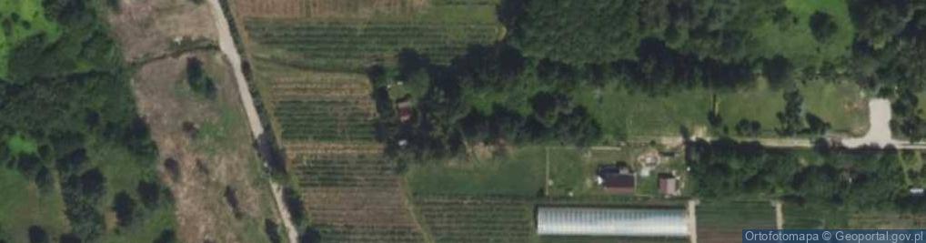 Zdjęcie satelitarne Klonowa ul.